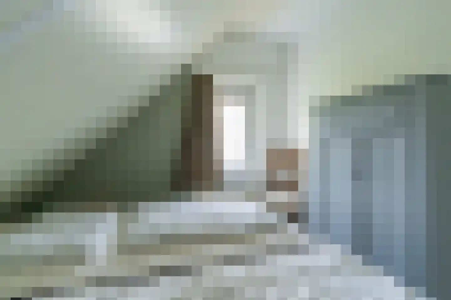 Noordzeelaan 45 Scharendijke thumbnail 24