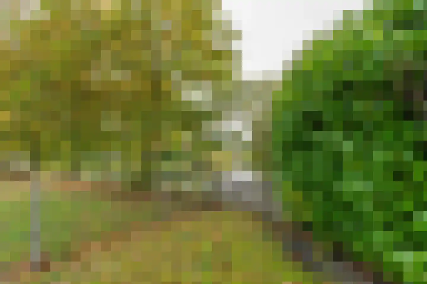 Noordzeelaan 45 Scharendijke thumbnail 31
