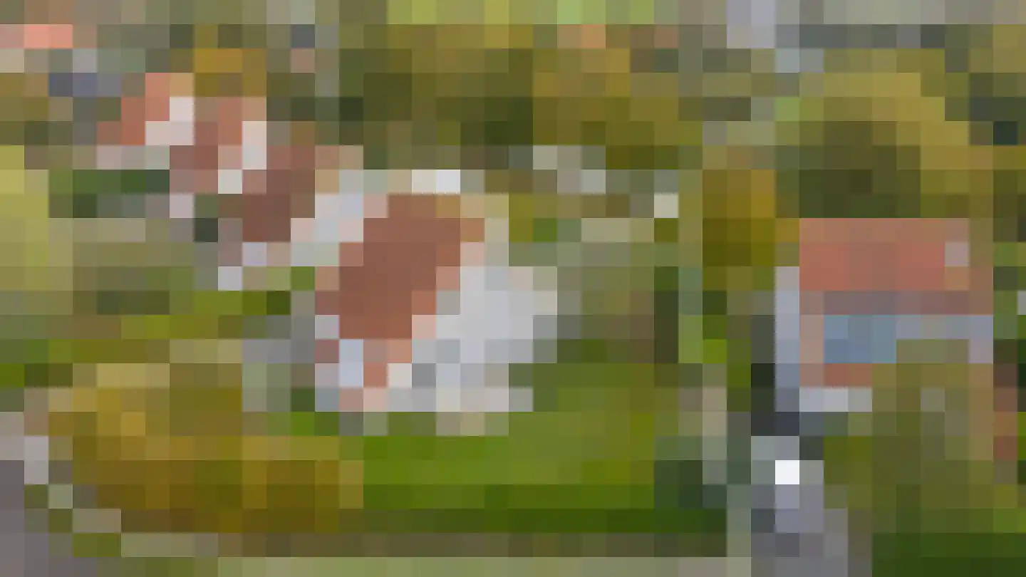 Noordzeelaan 45 Scharendijke thumbnail 36