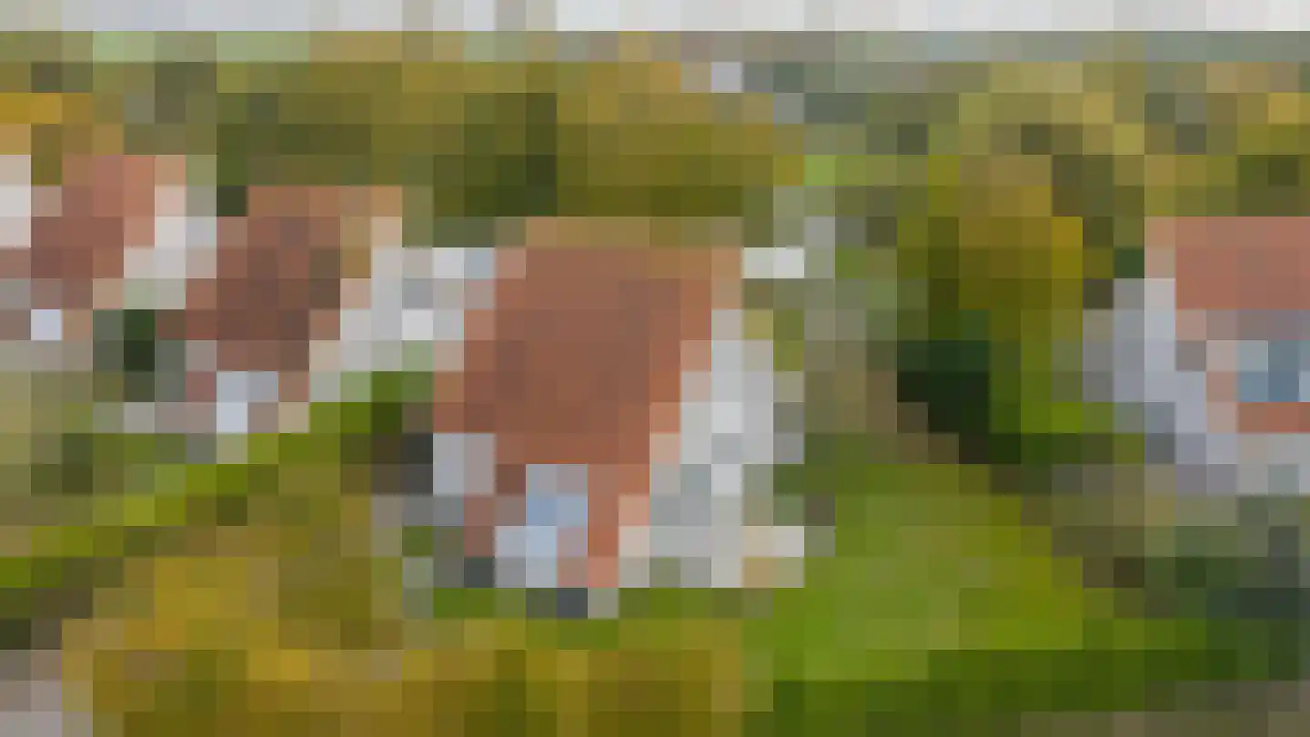 Noordzeelaan 45 Scharendijke thumbnail 37