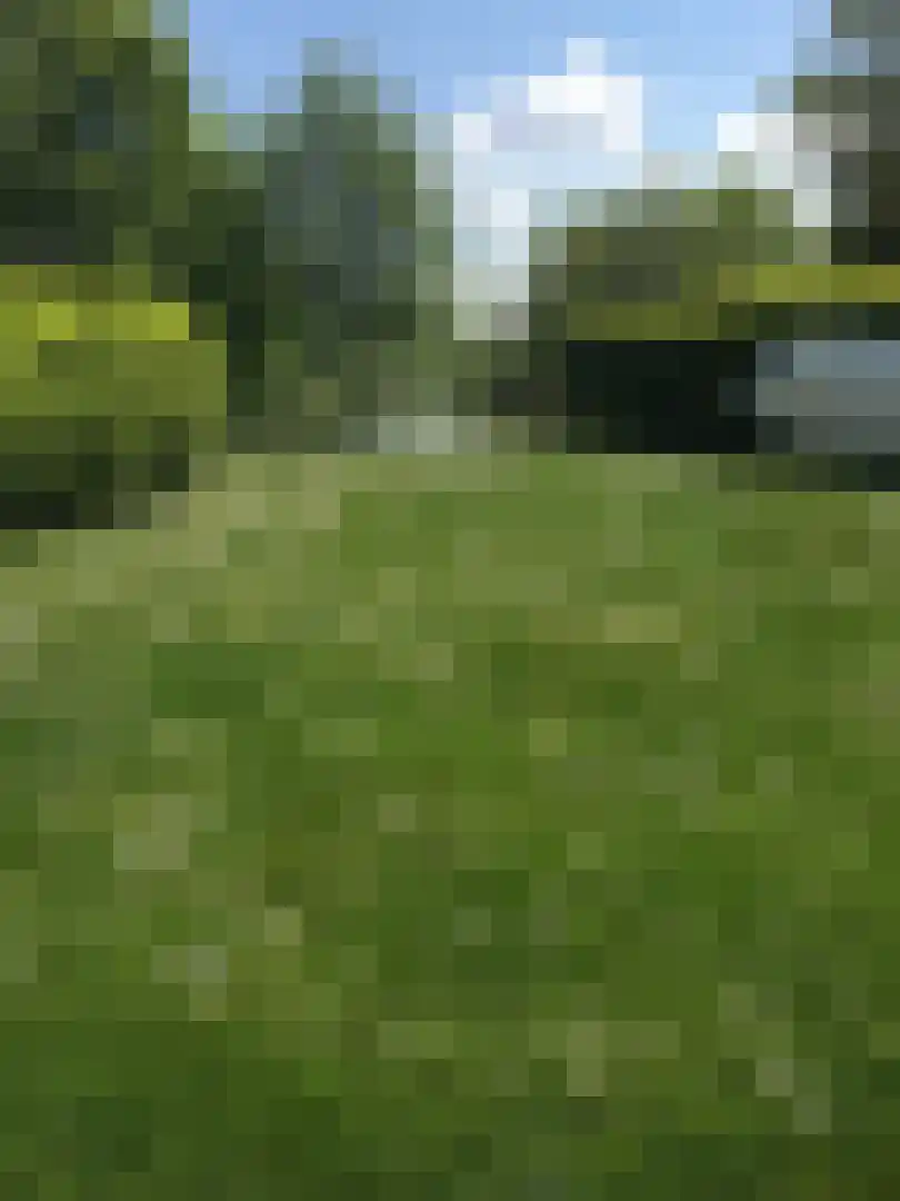 Noordzeelaan 45 Scharendijke thumbnail 38