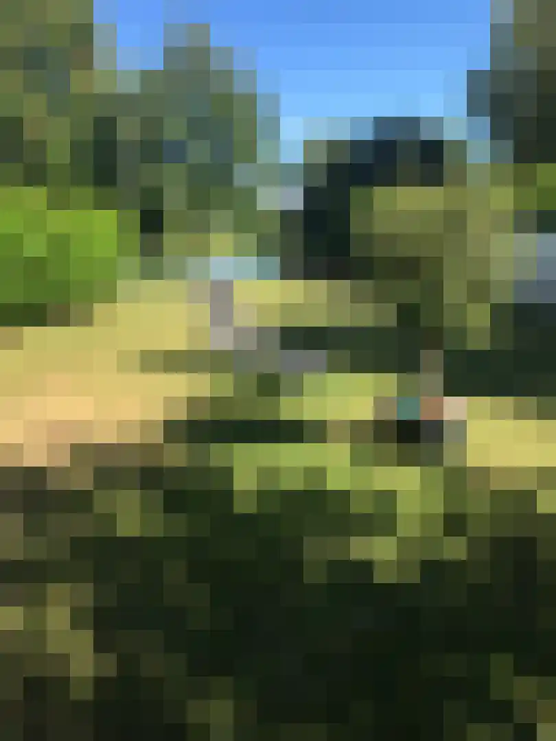 Noordzeelaan 45 Scharendijke thumbnail 39