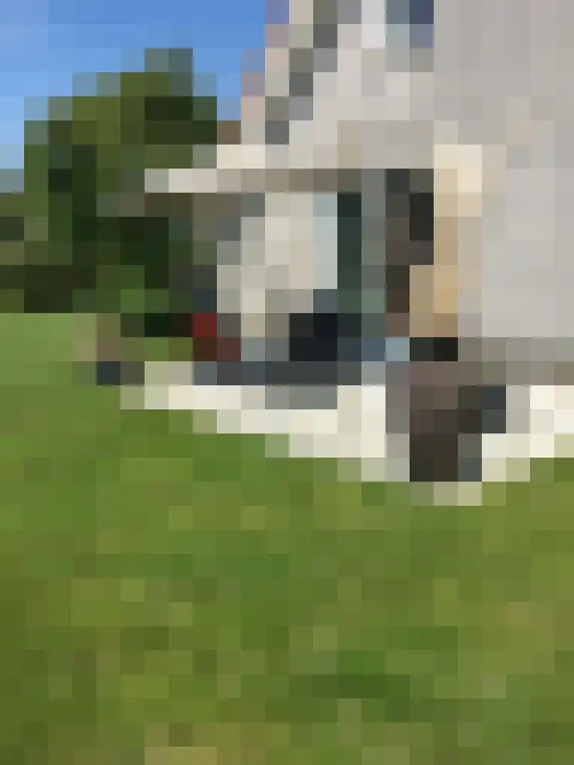 Noordzeelaan 45 Scharendijke thumbnail 40