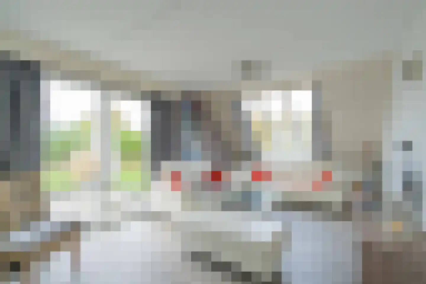 Noordzeelaan 45 Scharendijke thumbnail 5