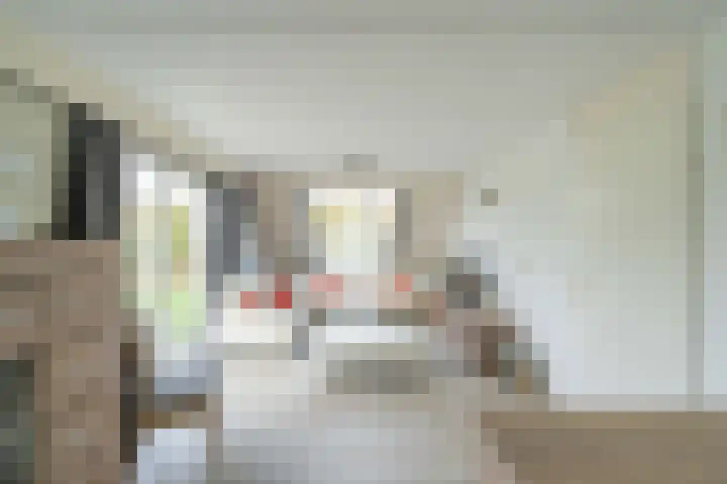 Noordzeelaan 45 Scharendijke thumbnail 6