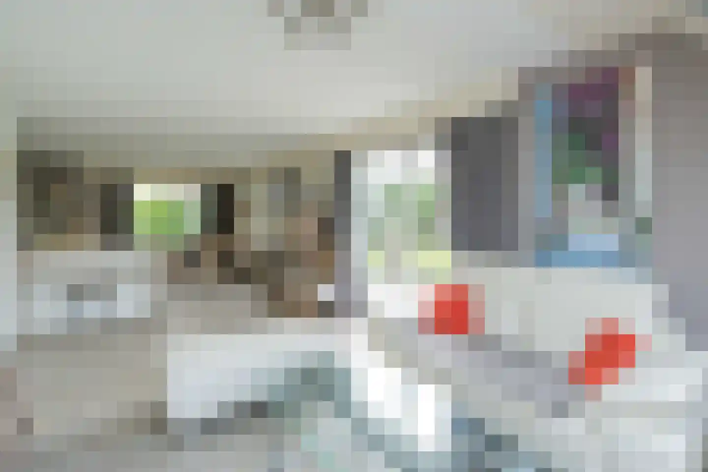 Noordzeelaan 45 Scharendijke thumbnail 7