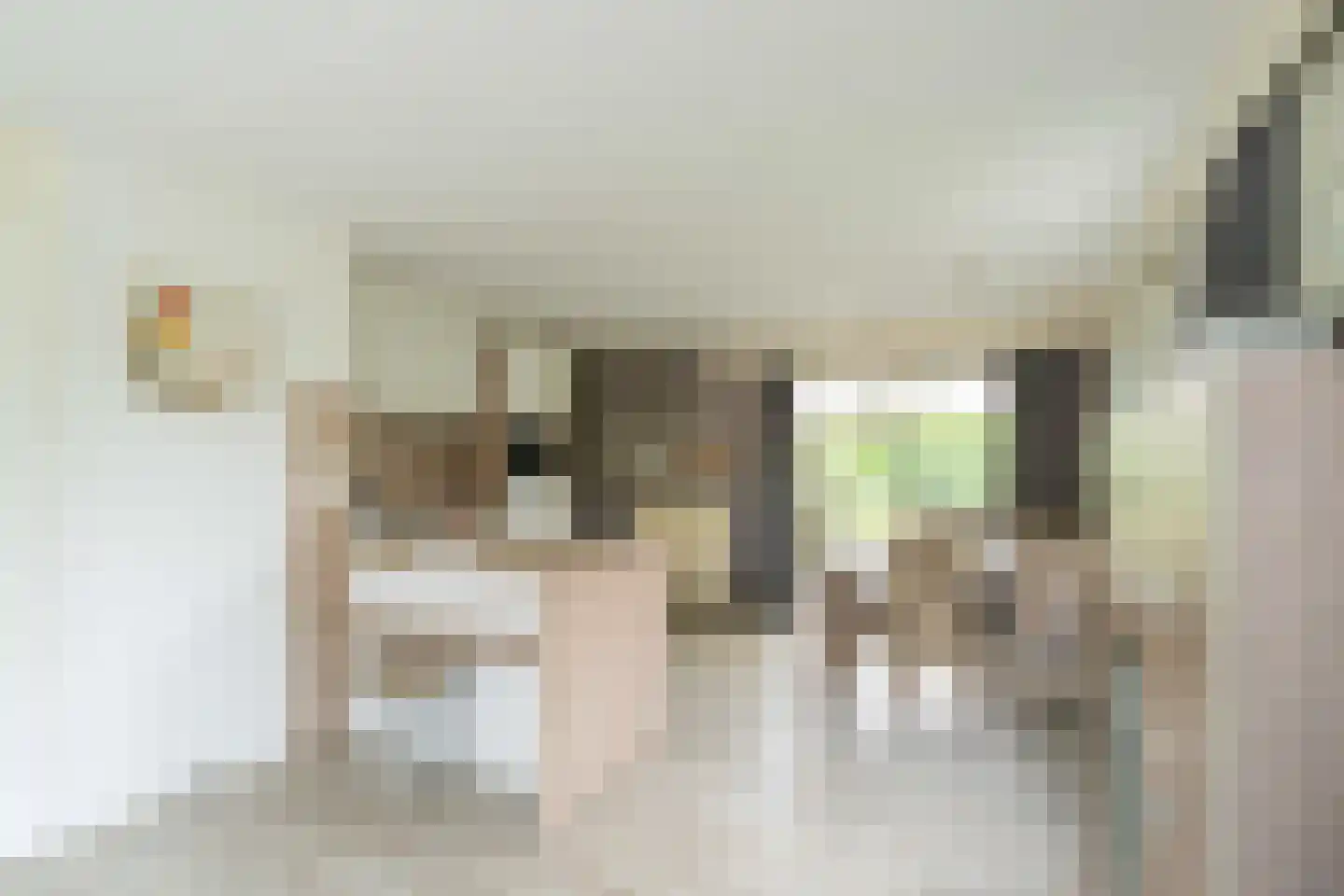 Noordzeelaan 45 Scharendijke thumbnail 9