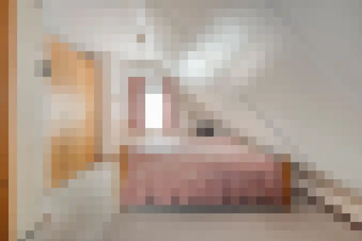 Noordzeelaan 46 Scharendijke thumbnail 14