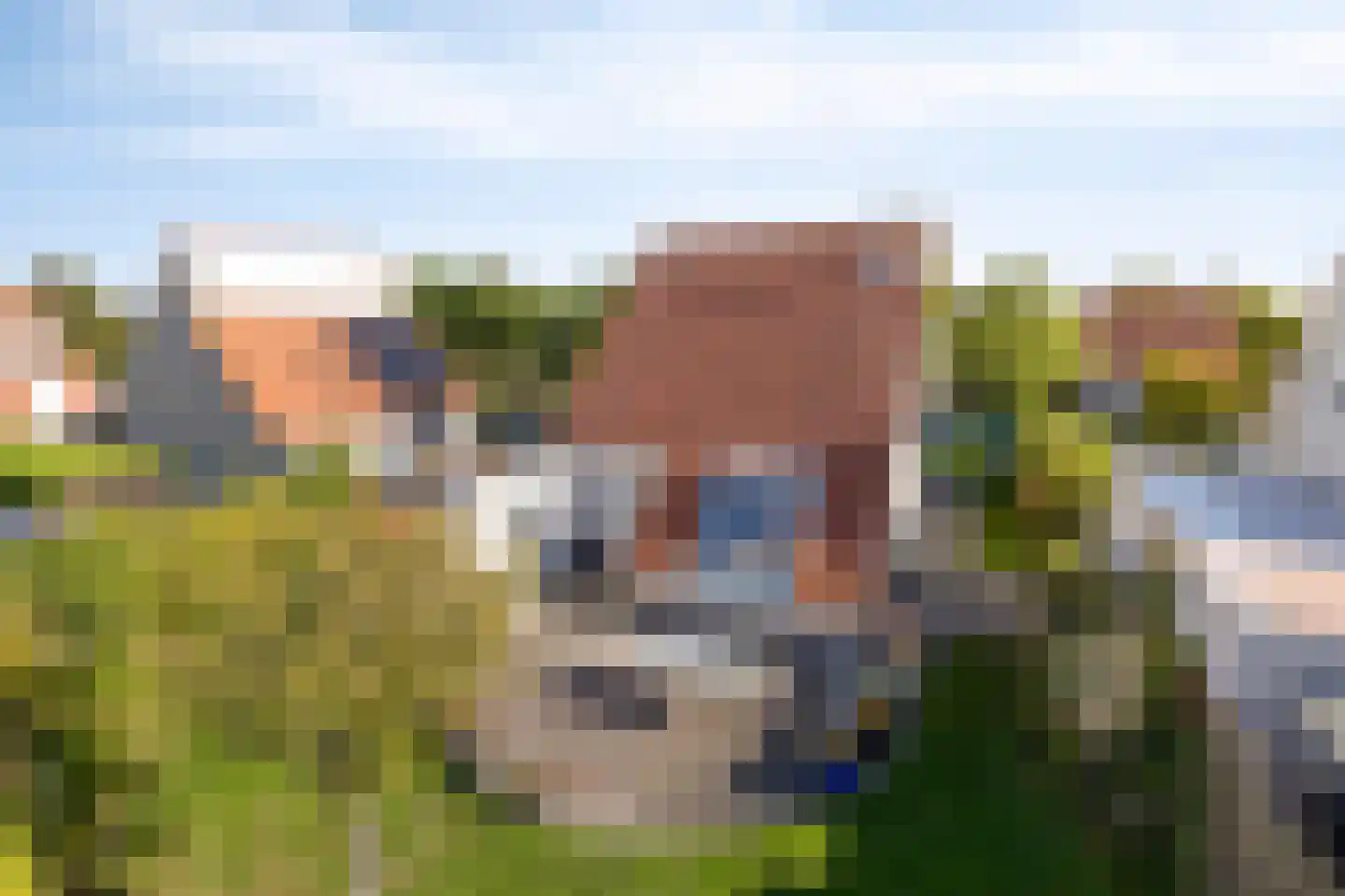 Noordzeelaan 46 Scharendijke thumbnail 30