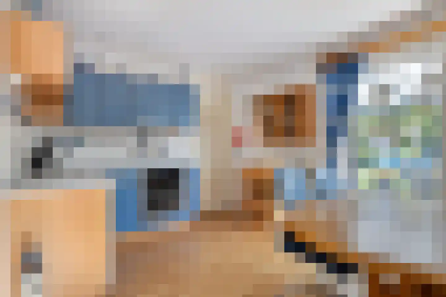 Noordzeelaan 46 Scharendijke thumbnail 9