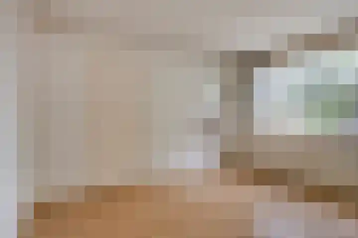 Noordzeelaan 5 Eindhoven thumbnail 19