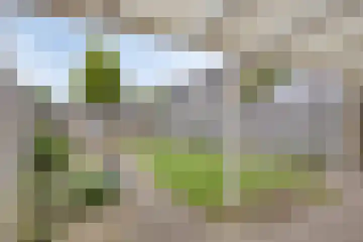 Noordzeelaan 5 Eindhoven thumbnail 25