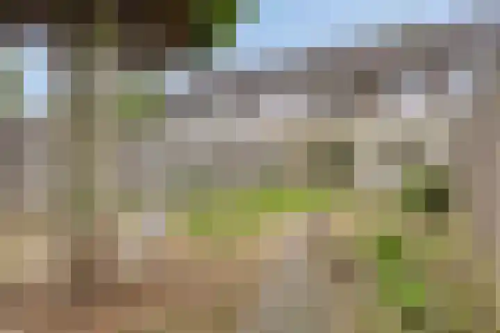 Noordzeelaan 5 Eindhoven thumbnail 26