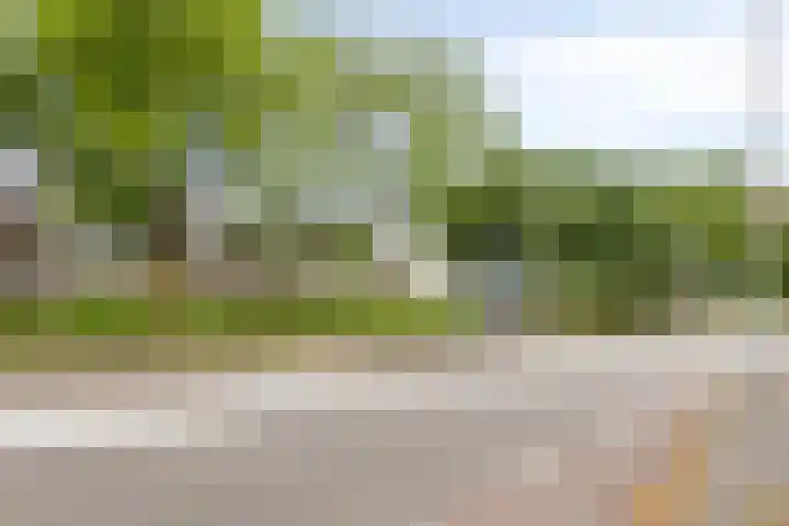 Noordzeelaan 5 Eindhoven thumbnail 28