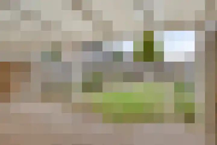 Noordzeelaan 5 Eindhoven thumbnail 5