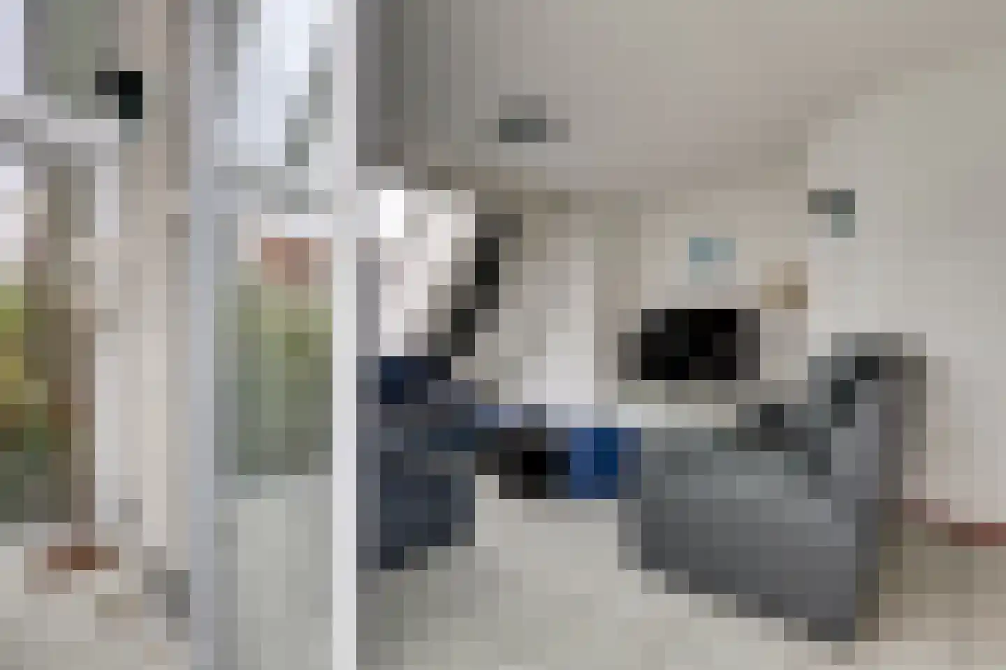 Noordzeelaan 61 Scharendijke thumbnail 10