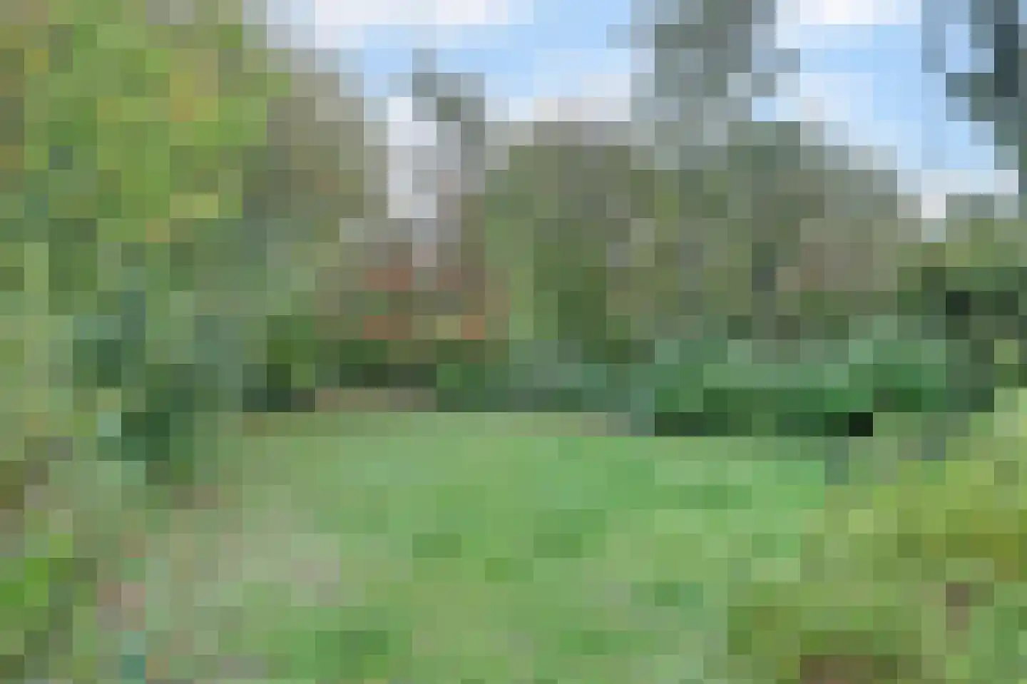 Noordzeelaan 61 Scharendijke thumbnail 33