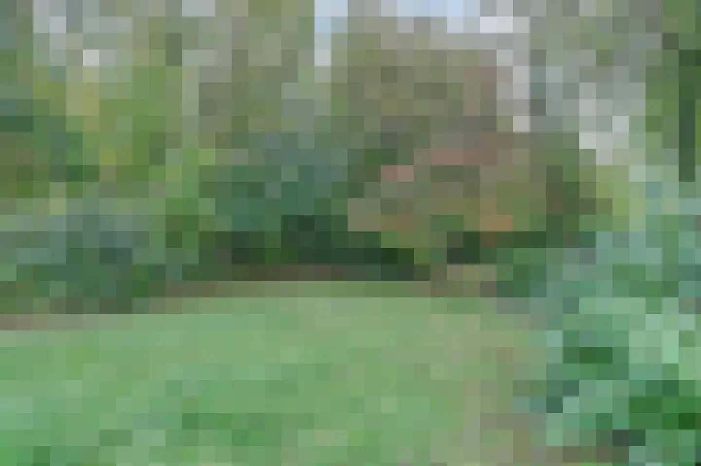 Noordzeelaan 61 Scharendijke thumbnail 34
