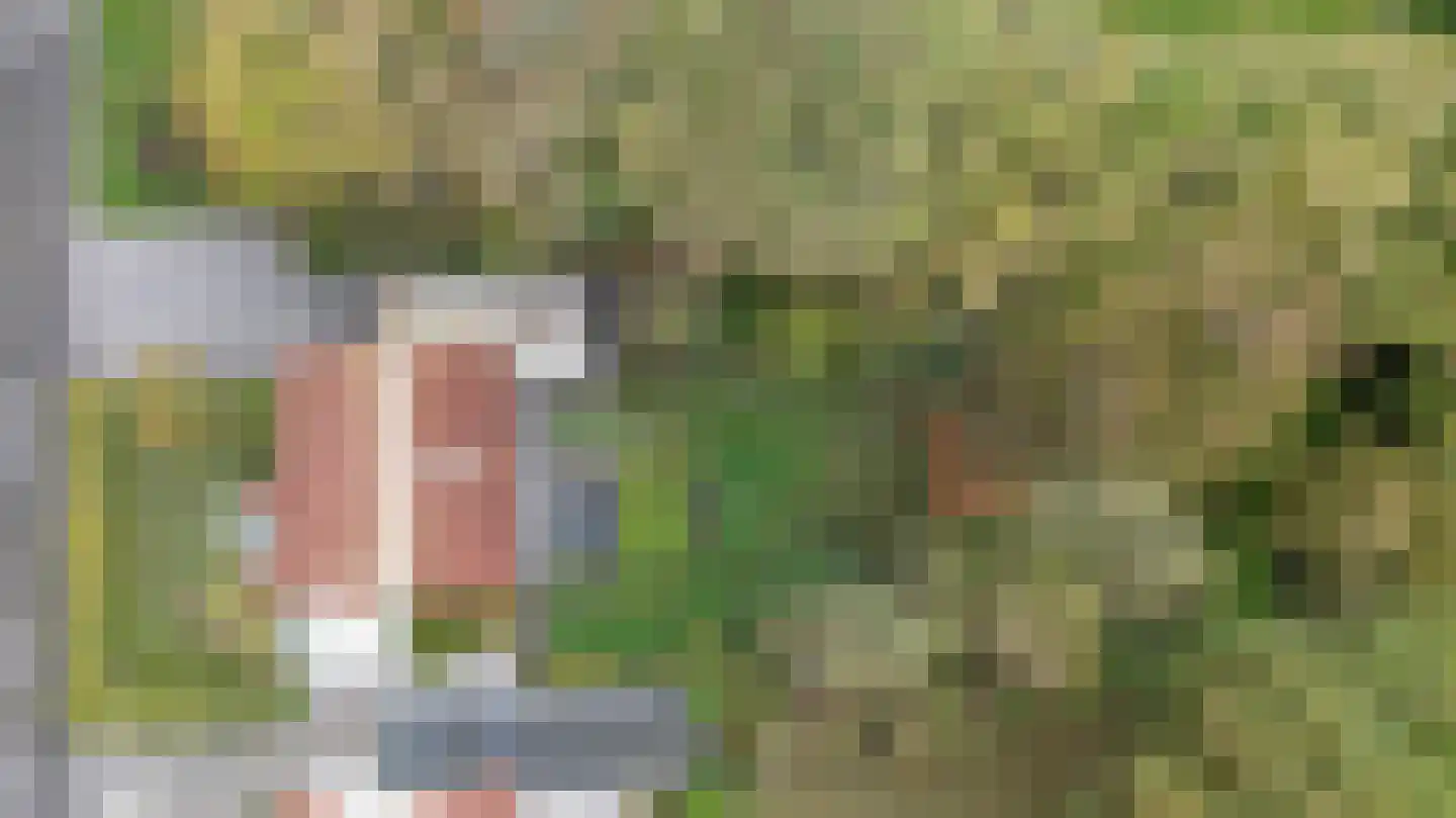 Noordzeelaan 61 Scharendijke thumbnail 35