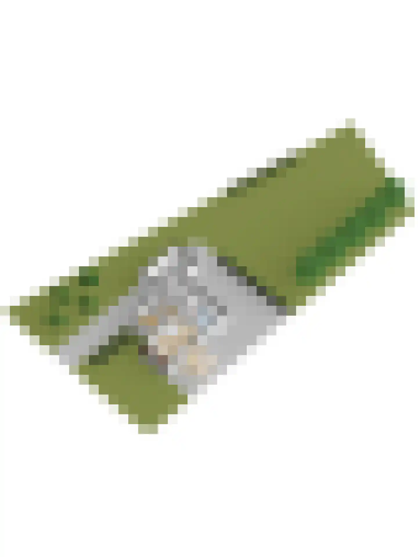 Noordzeelaan 61 Scharendijke thumbnail 44
