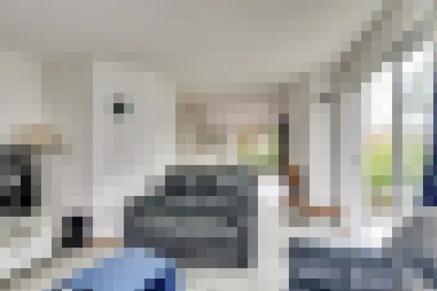 Noordzeelaan 61 Scharendijke thumbnail 7
