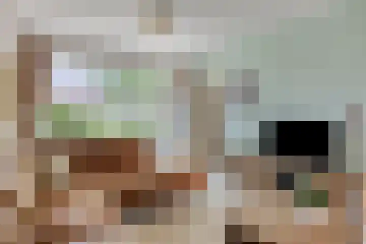 Noordzeelaan 7 Eindhoven thumbnail 10