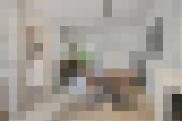 Noordzeelaan 7 Eindhoven thumbnail 12