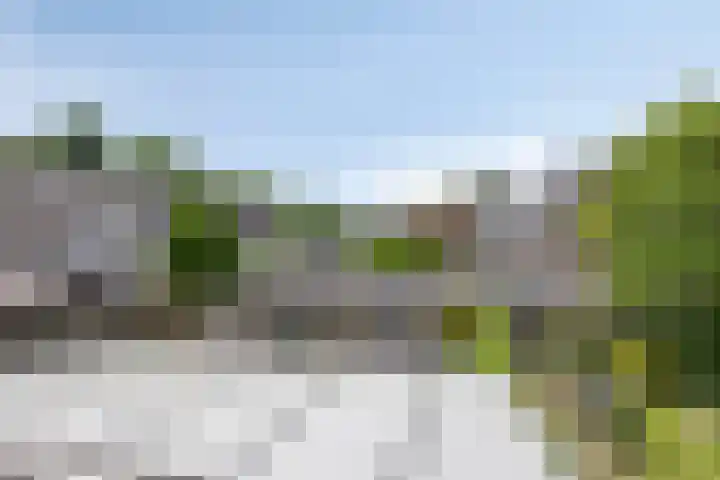 Noordzeelaan 7 Eindhoven thumbnail 23