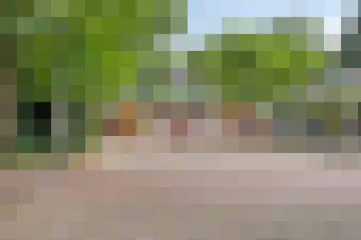Noordzeelaan 7 Eindhoven thumbnail 33
