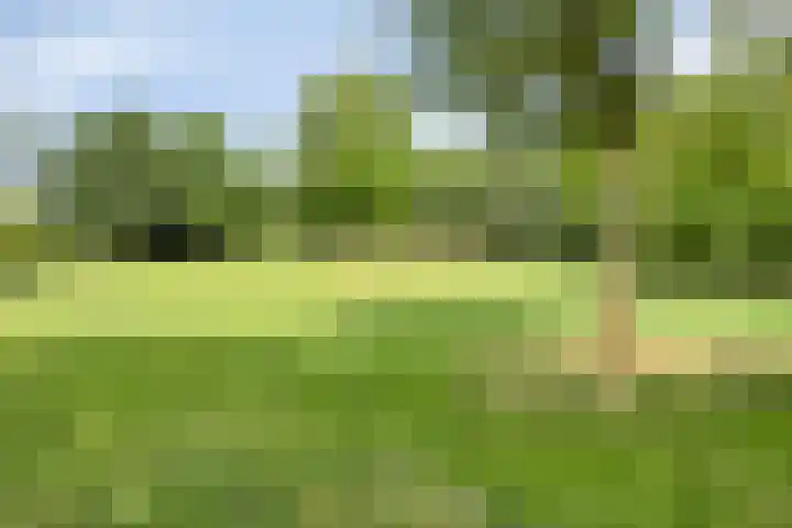Noordzeelaan 7 Eindhoven thumbnail 34