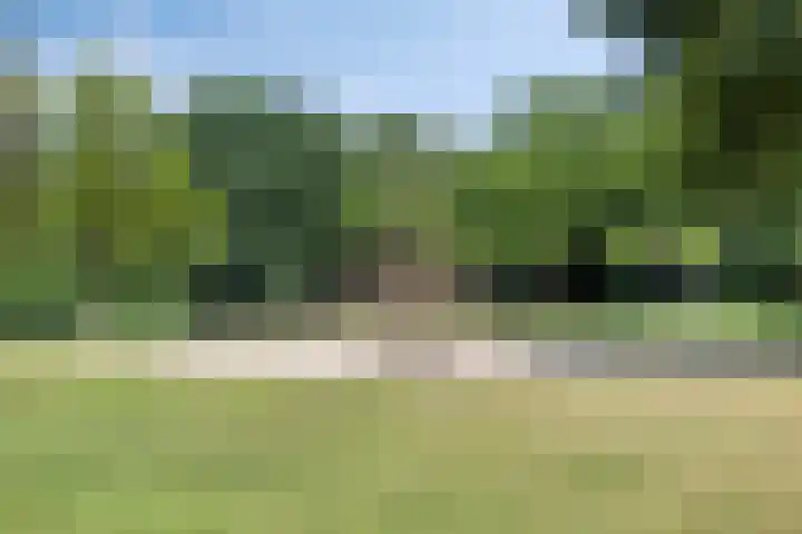 Noordzeelaan 7 Eindhoven thumbnail 35