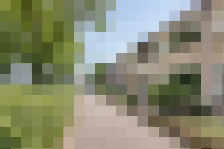 Noordzeelaan 7 Eindhoven thumbnail 6