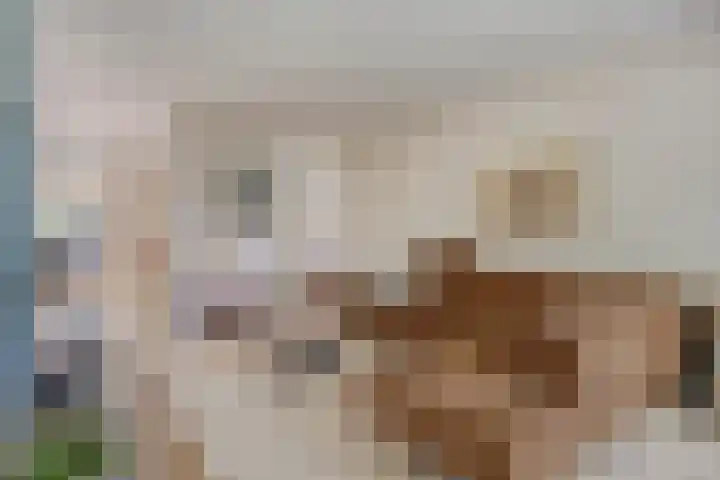 Noordzeelaan 7 Eindhoven thumbnail 8