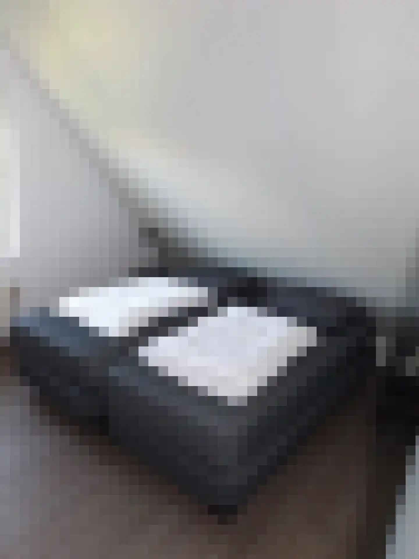 Noordzeelaan 8 Scharendijke thumbnail 17