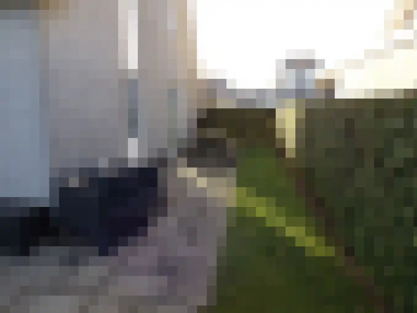 Noordzeelaan 8 Scharendijke thumbnail 6