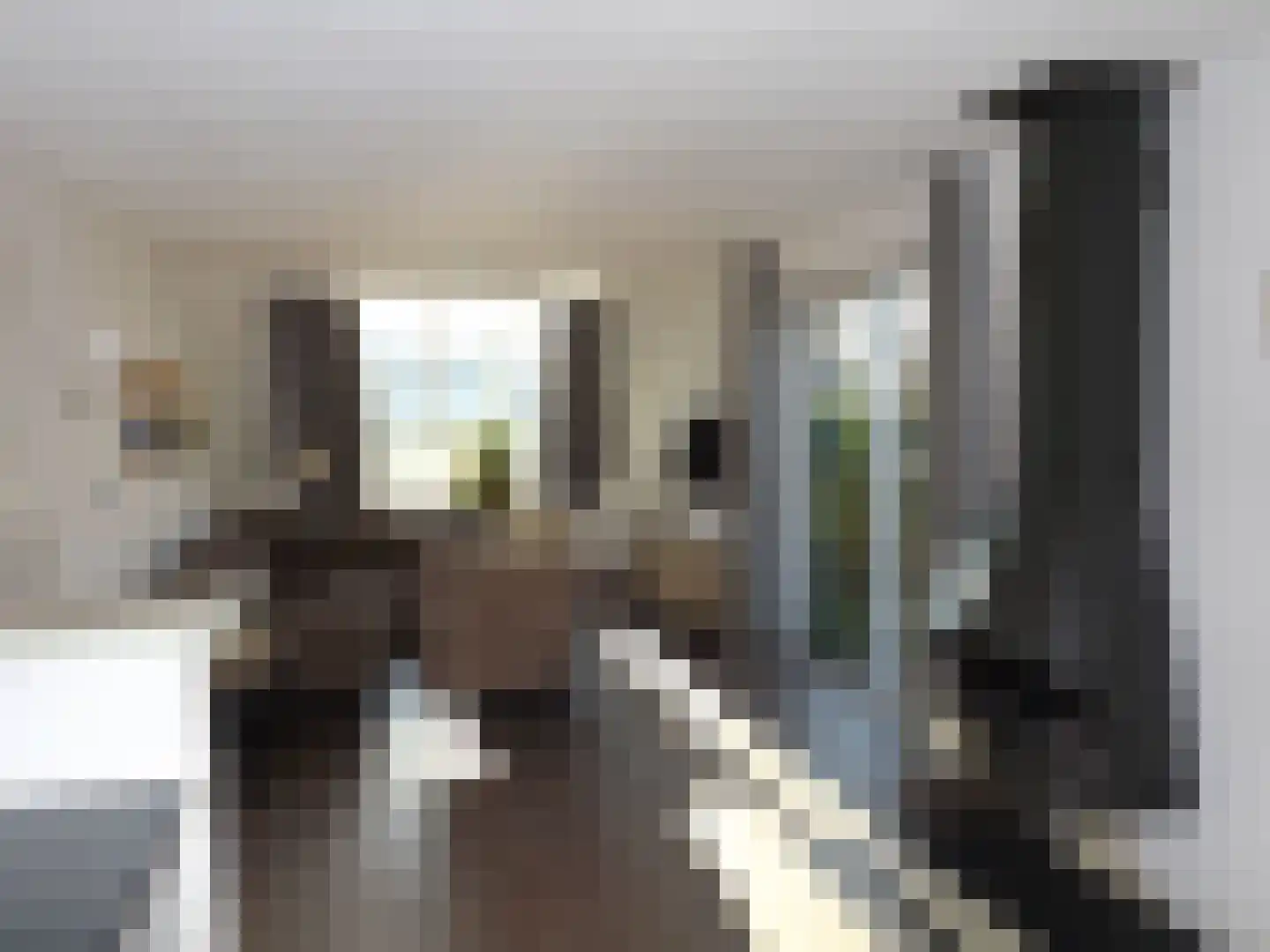 Noordzeelaan 8 Scharendijke thumbnail 8