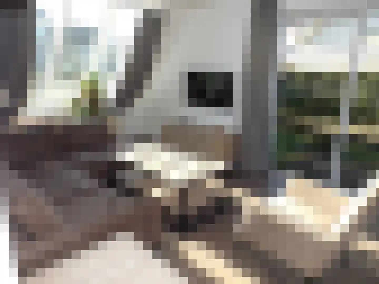Noordzeelaan 8 Scharendijke thumbnail 9