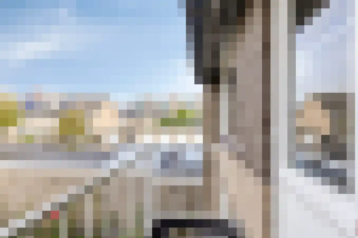 Noordzeelaan 9 Eindhoven thumbnail 19