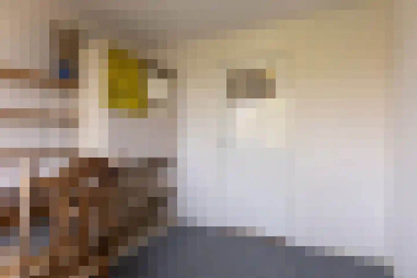 Noordzeelaan 9 Eindhoven thumbnail 22
