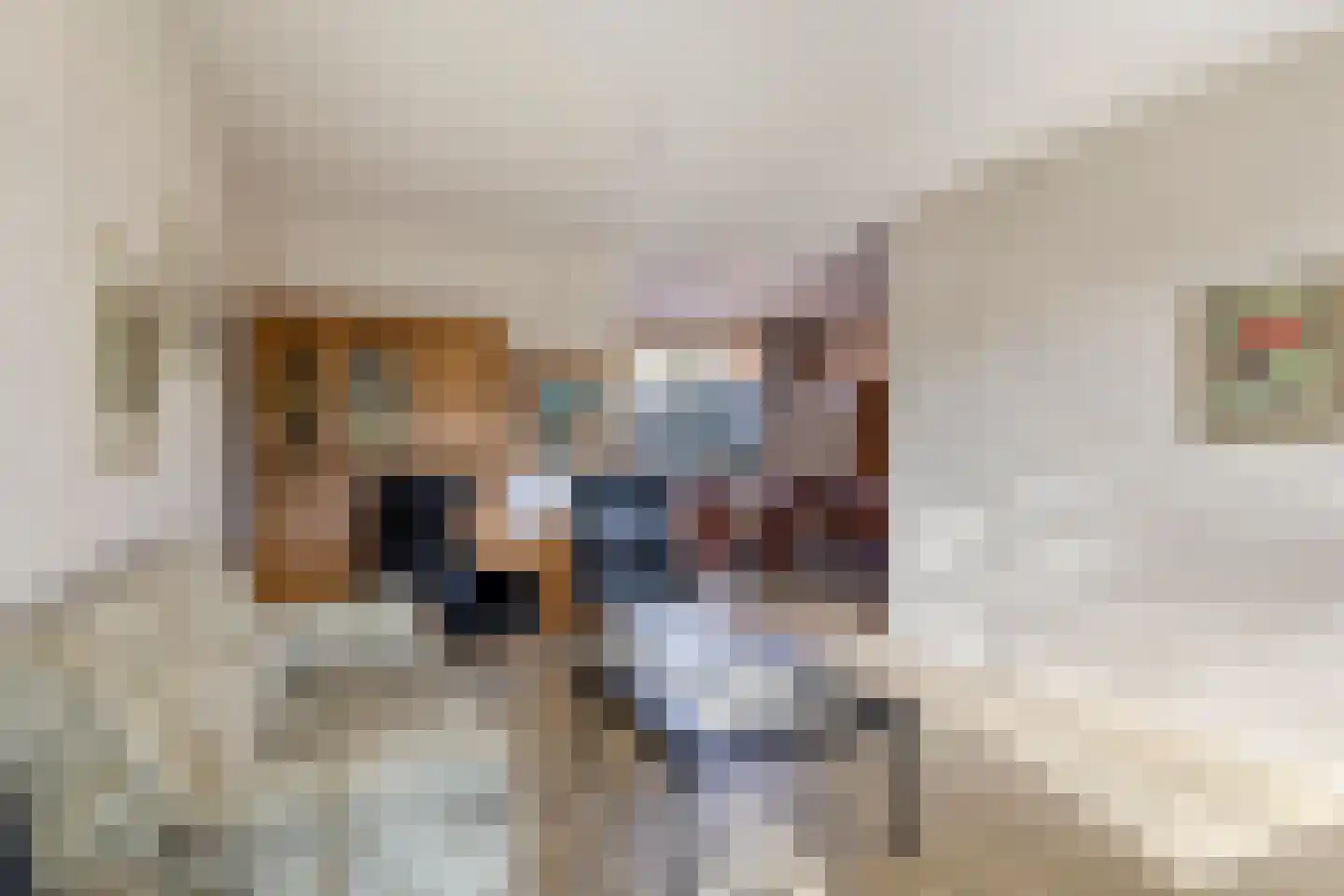 Noordzeelaan 9 Eindhoven thumbnail 9