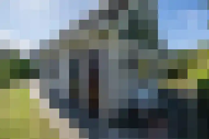 Noordzeepark-Deltageul 13 Ouddorp thumbnail 5