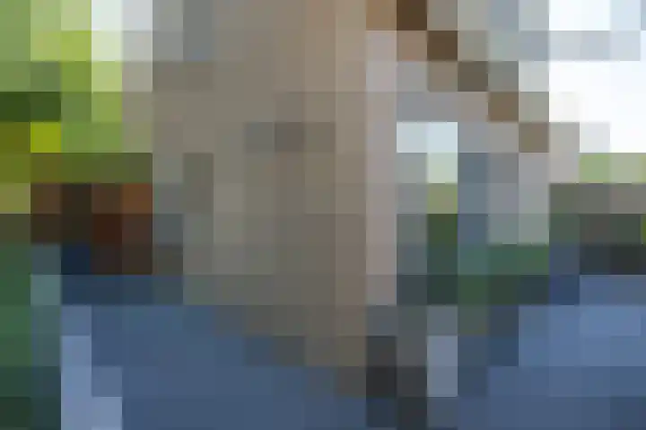 Noordzeepark-Deltageul 17 Ouddorp thumbnail 30