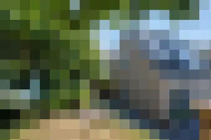 Noordzeepark-Deltageul 17 Ouddorp thumbnail 31