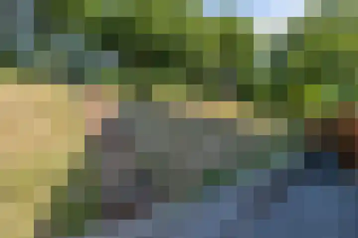 Noordzeepark-Deltageul 17 Ouddorp thumbnail 32