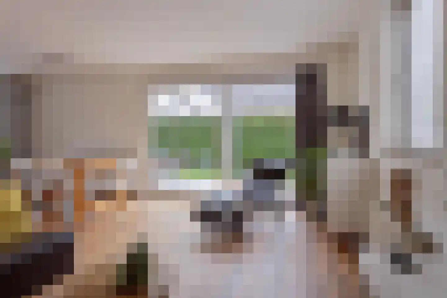 Noordzeepark-Doggersbank 15 Ouddorp thumbnail 8
