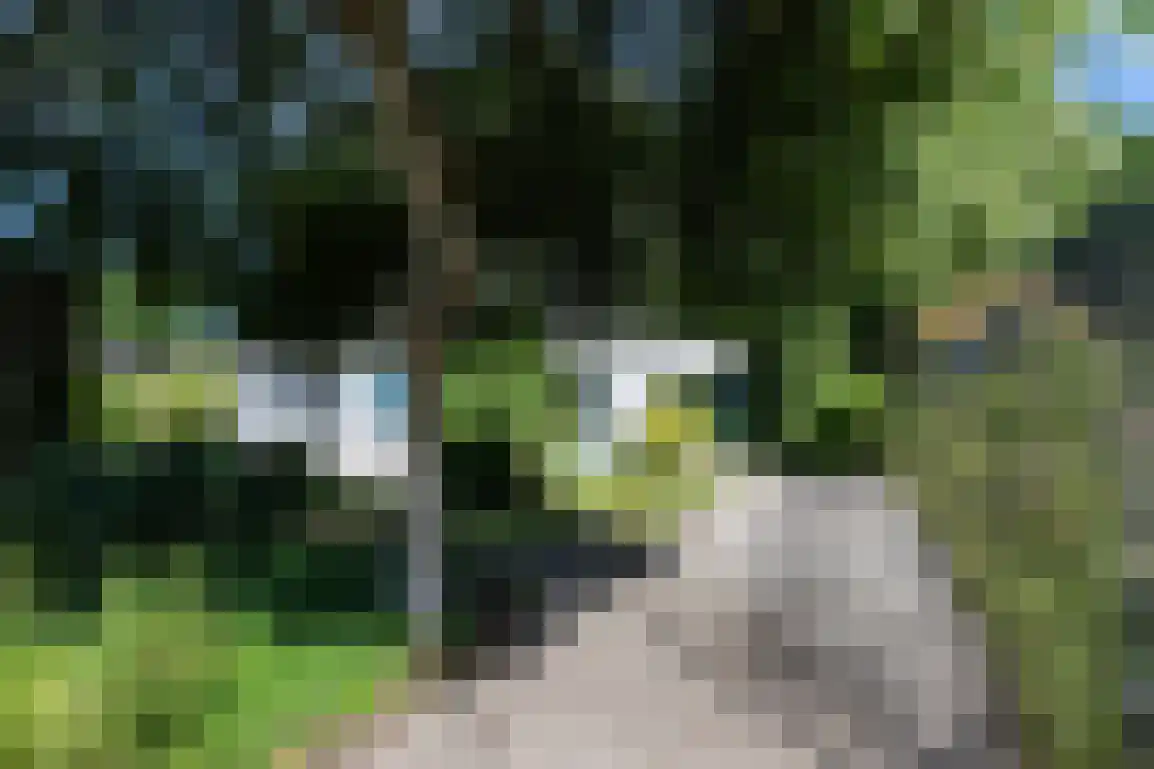 Noordzeepark-Doggersbank 33 Ouddorp thumbnail 6