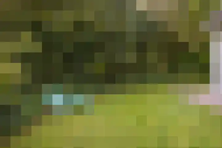 Noordzeepark-Grevelingen 29 Ouddorp thumbnail 24