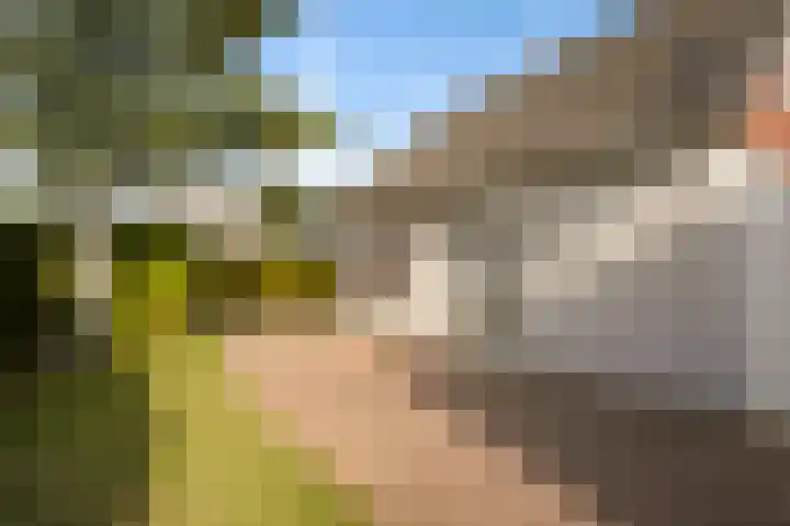 Noordzeepark-Grevelingen 29 Ouddorp thumbnail 25