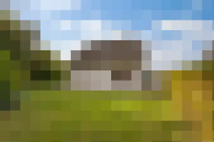 Noordzeepark-Grevelingen 29 Ouddorp thumbnail 26