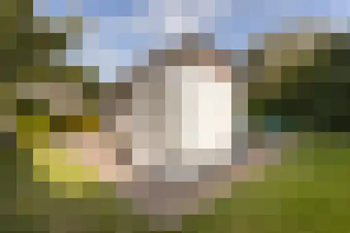 Noordzeepark-Grevelingen 29 Ouddorp thumbnail 27
